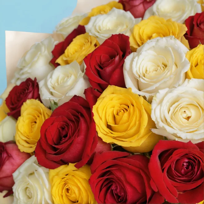 Product image 115