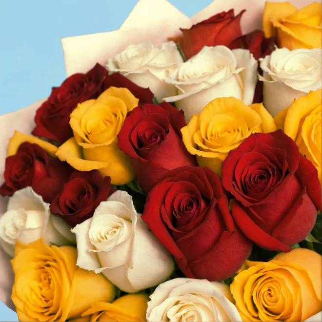 Product image 119