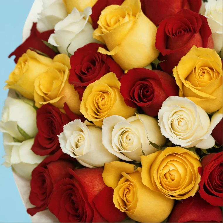 Product image 122