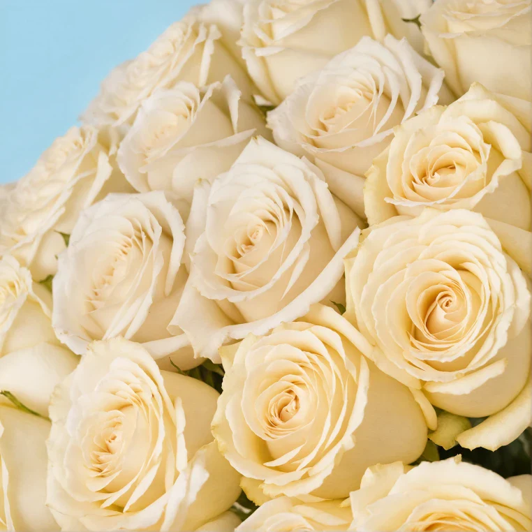 Product image 141