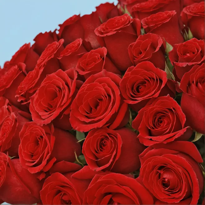 Product image 177