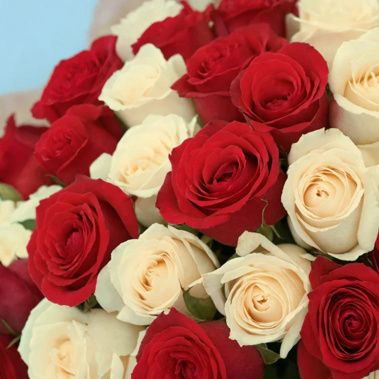 Product image 184