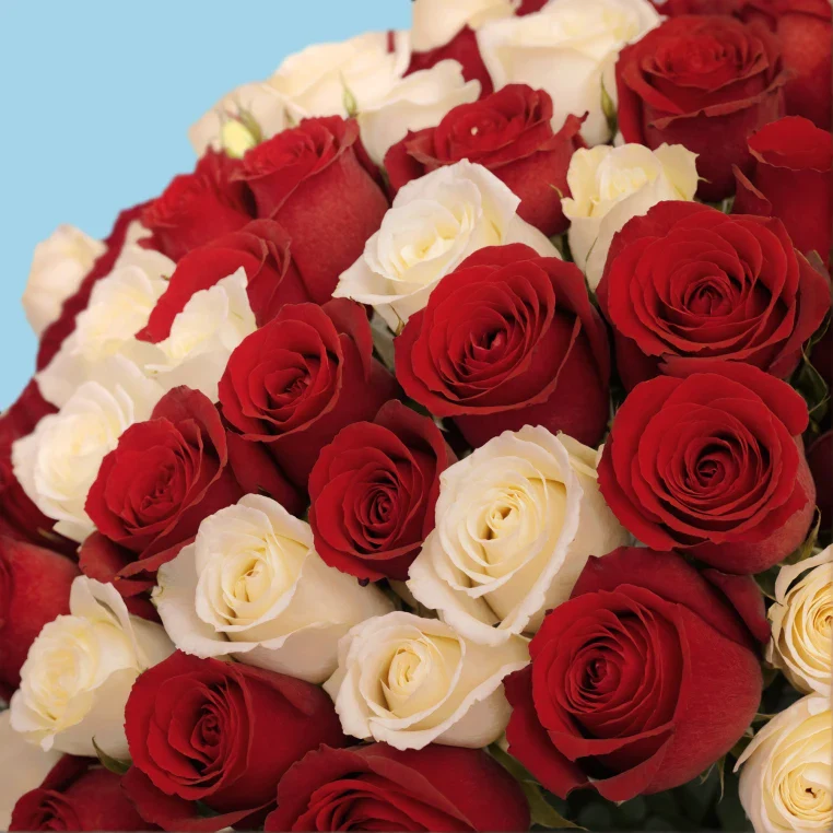 Product image 191
