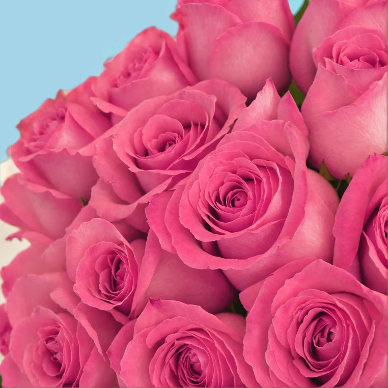Product image 83