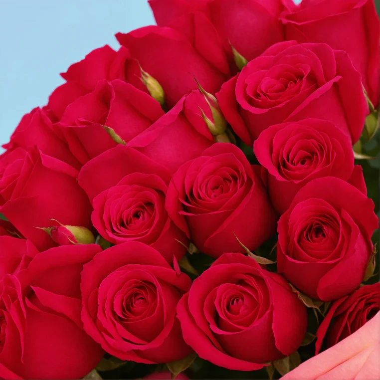 Product image 97